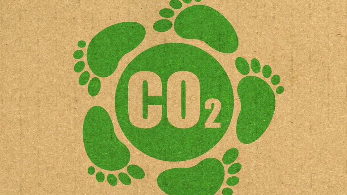 Embrace Renewable Energy